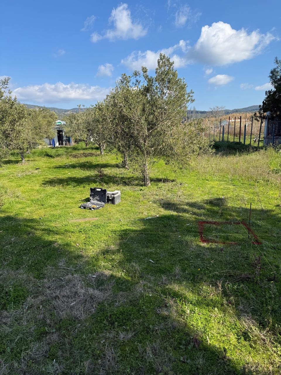 WhatsApp Image 2025-12-30 at 1.23.46 PM