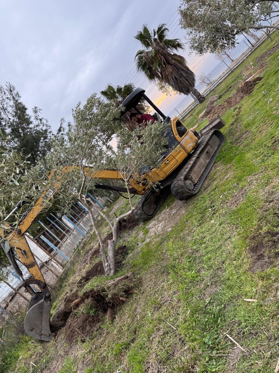 WhatsApp Image 2025-12-30 at 1.23.47 PM (1)