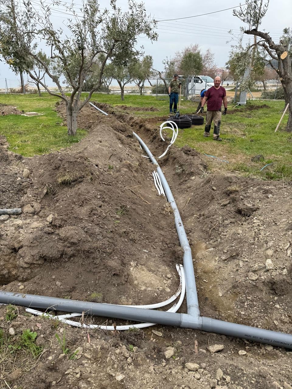 WhatsApp Image 2025-12-30 at 1.23.47 PM (4)