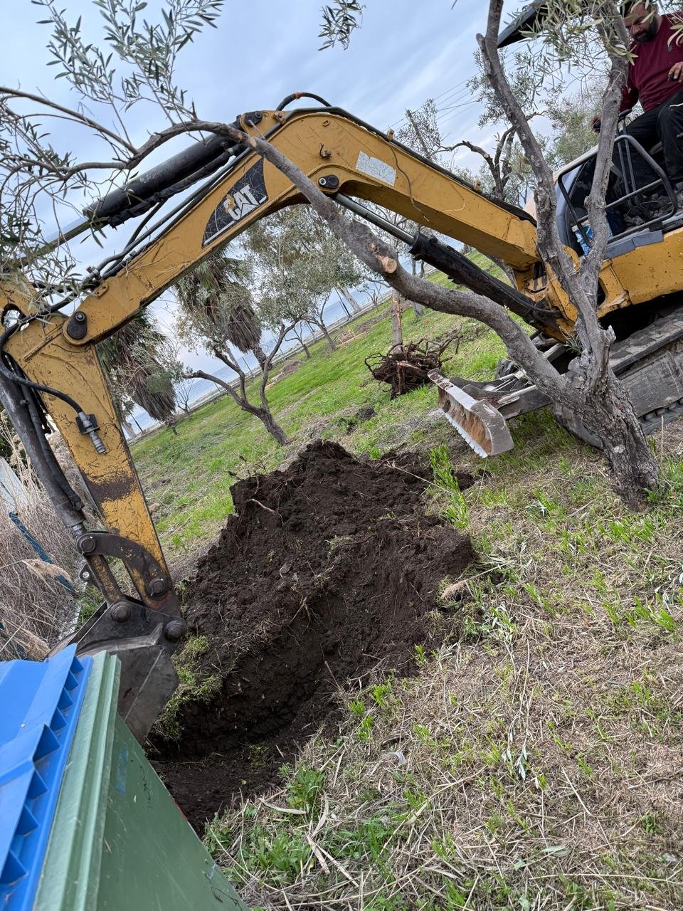 WhatsApp Image 2025-12-30 at 1.23.47 PM