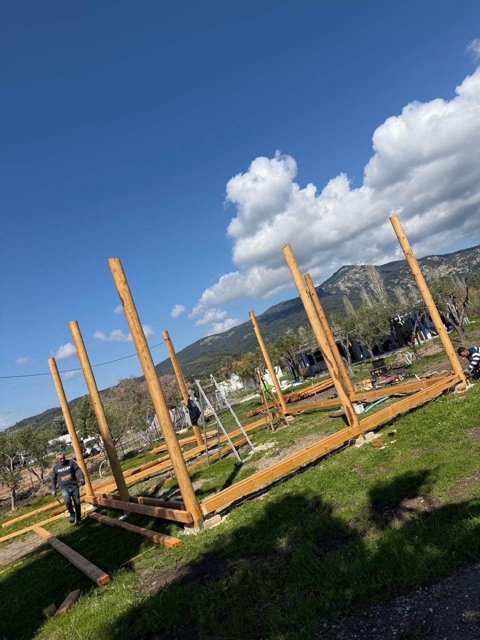 WhatsApp Image 2025-12-30 at 1.23.48 PM (3)