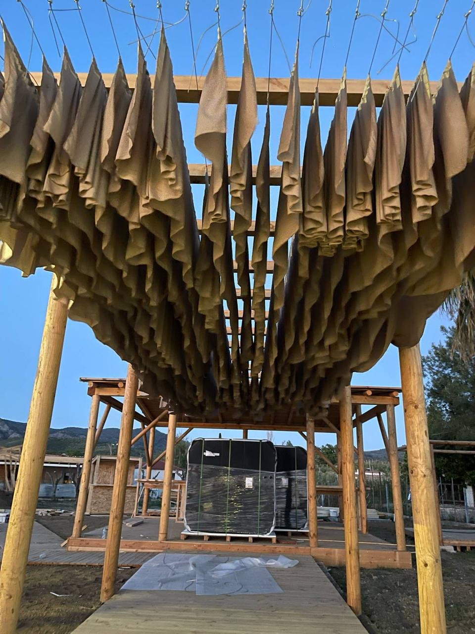 WhatsApp Image 2025-12-30 at 1.23.50 PM (1)